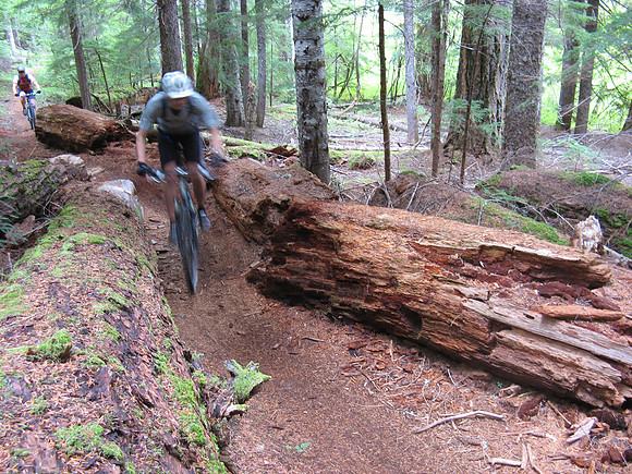 Rich McKenzie River Trail