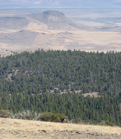 Rich vista