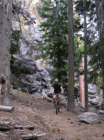 Julian descent