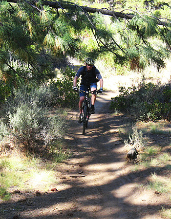 Julian on Phil's trail