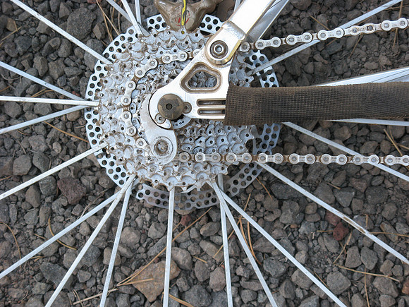 Fremont singlespeeding