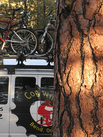 Cogwild van and tree