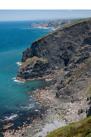 Seal cove Newquay