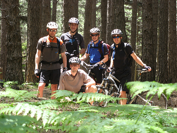 woodland group 3
