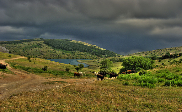 Sicilian rural idyll
