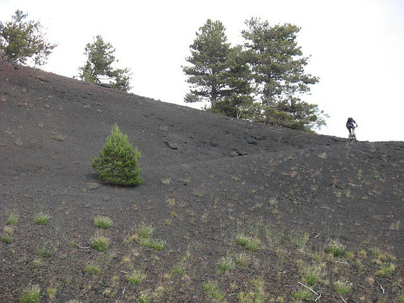 Sartorious cinder cone climb 3