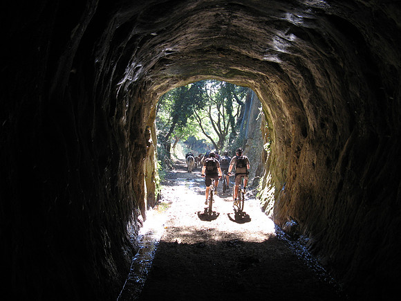 cow tunnel 2