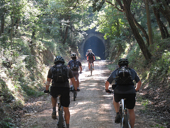 cow tunnel