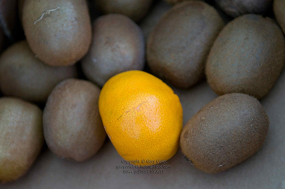 Orange kiwi