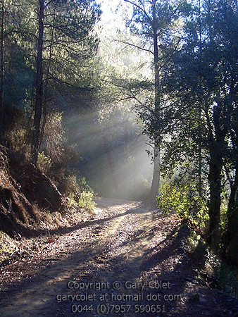 troodos sunrays