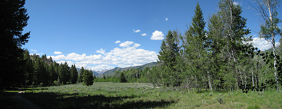 meadow panorama