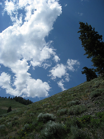 Big skies