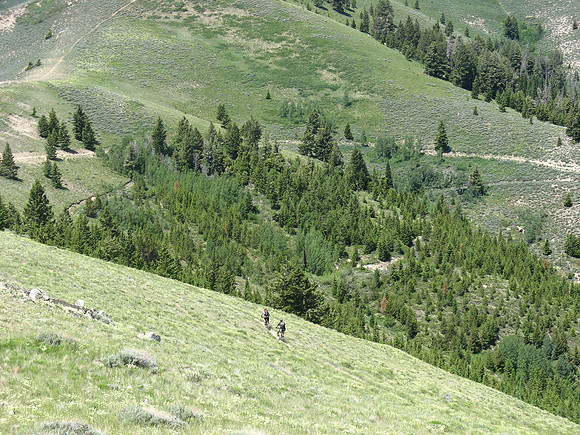 Wolftone Creek MK Matt