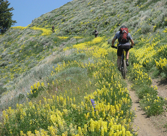 Wolftone creek climb 2