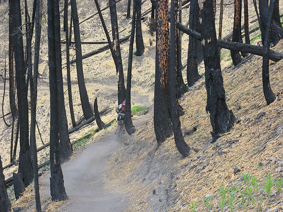 Mount Baldy straw Matt