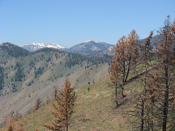 Mount Baldy Little America Point