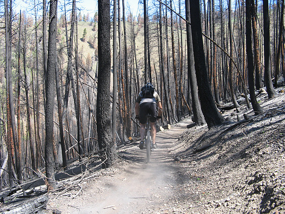 Mount Baldy singletrack