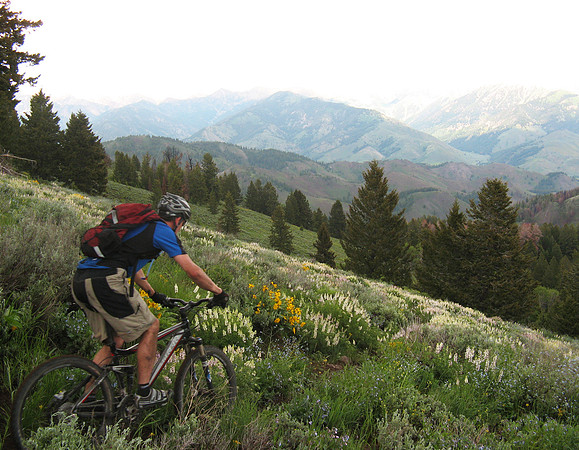 matt downhill