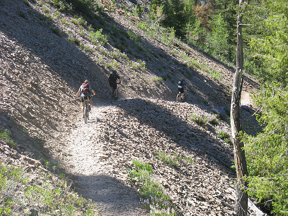 Fox creek scree