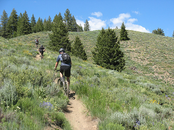 Fox creek climb