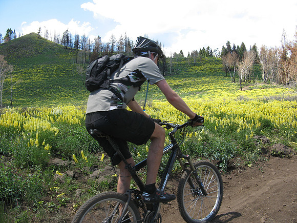 curran gulch lardo