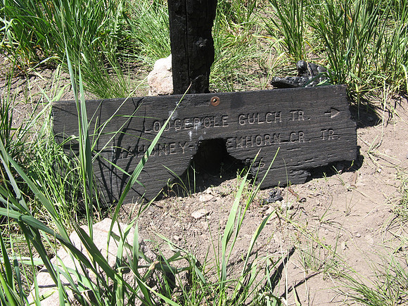 curran gulch burnt sign