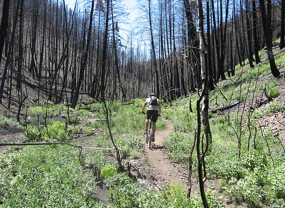 Curran Gulch climb