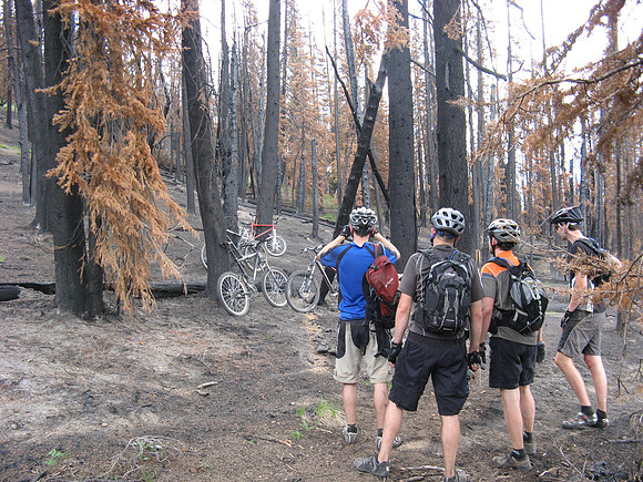burnt trees admiring our bikes