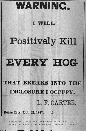 Boise hog poster