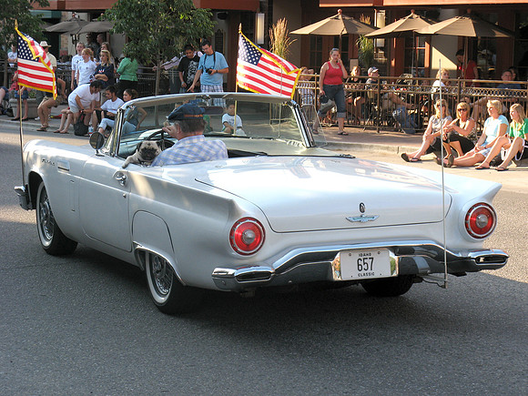 Boise 4th July parade dog driving car
