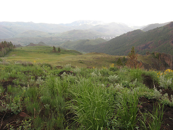 adams gulch ketchum