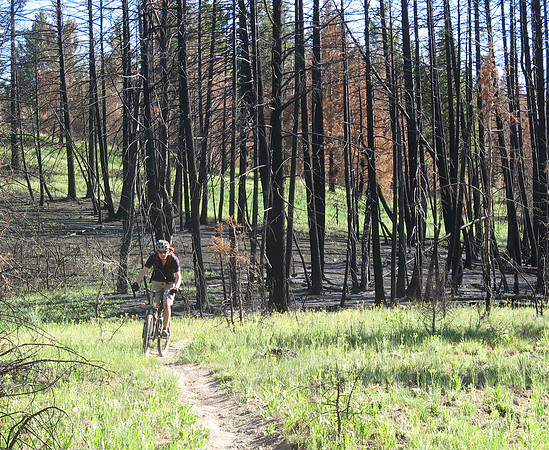 adams gulch burn matt