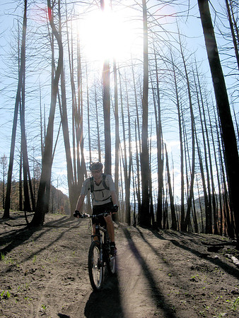 adams gulch burn lardo