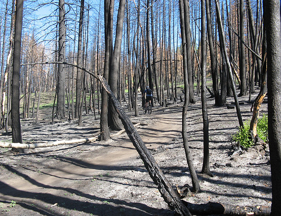 adams gulch burn 1