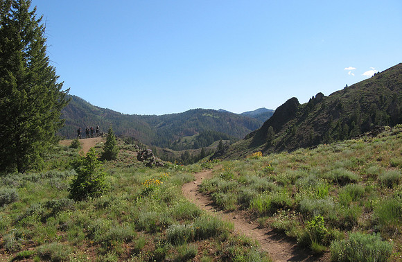adams gulch vista
