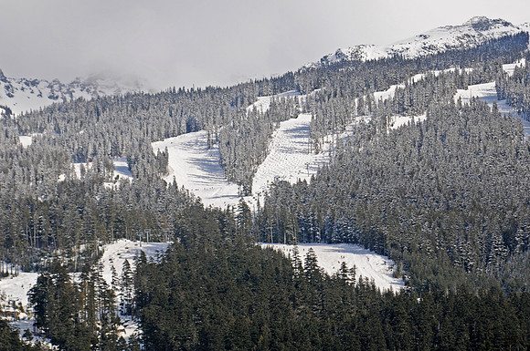 whistler slopes