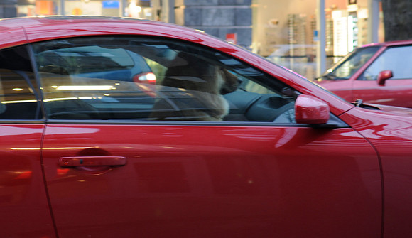 vancouver dog driving