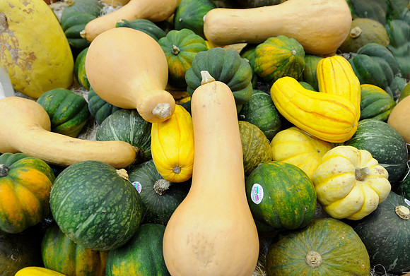 vancouver granville market squash