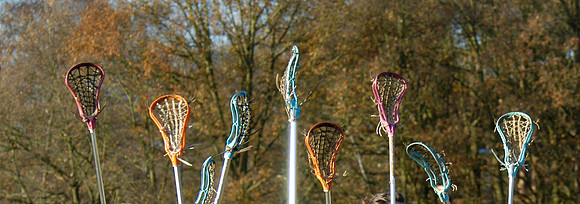 sticks