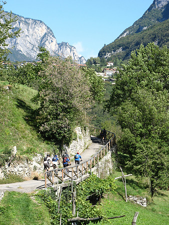 tonno path