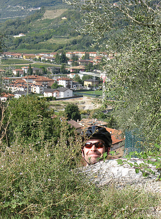 Lardo head
