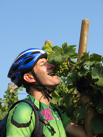 Johnny grapes