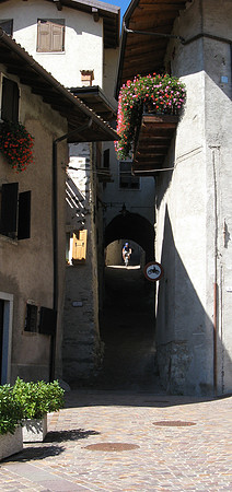 tonno alley