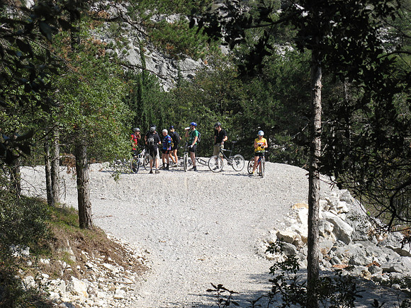 group 2