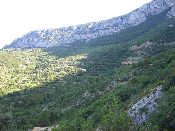verdon ferme de felines b and b