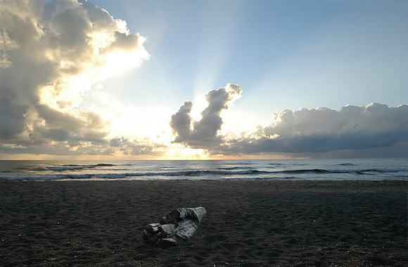 tortuguero beach log sunset