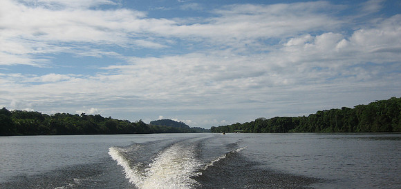 tortuguero wake