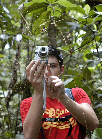 tortuguero spider ryan
