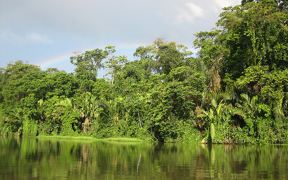 tortuguero reflections