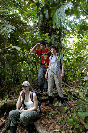 tortuguero rain forest j l r